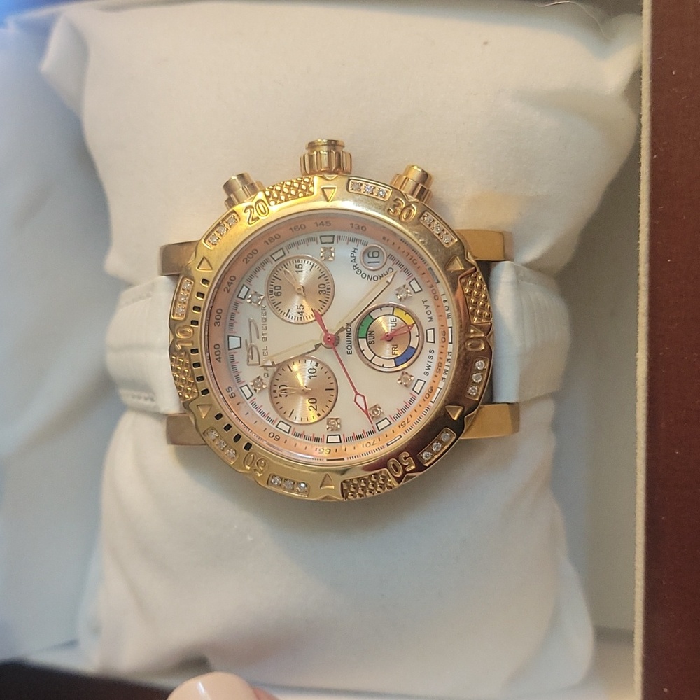 Daniel Steiger Ladies watch